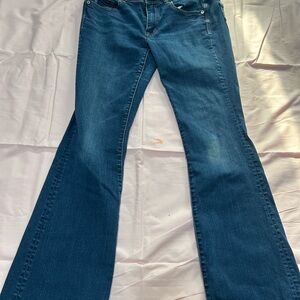 American Eagle Outfitters Blue Flare Wide Leg Jeans